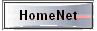  HomeNet 